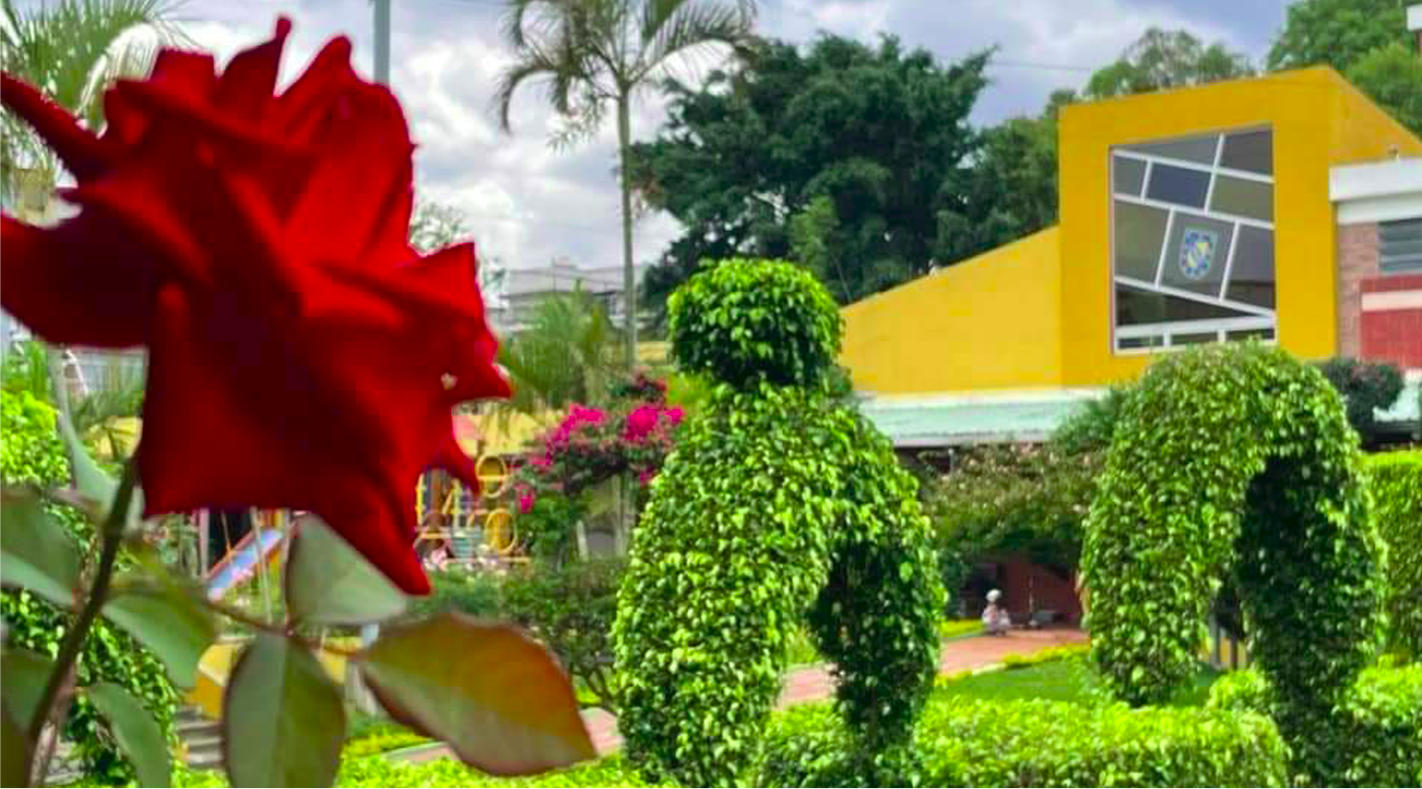 Colegio chapero jardin rosa