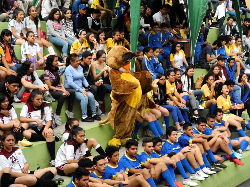 Mañana deportiva secundaria