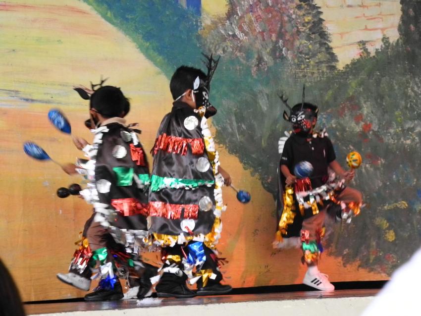 Semana Cultural Primaria (II)