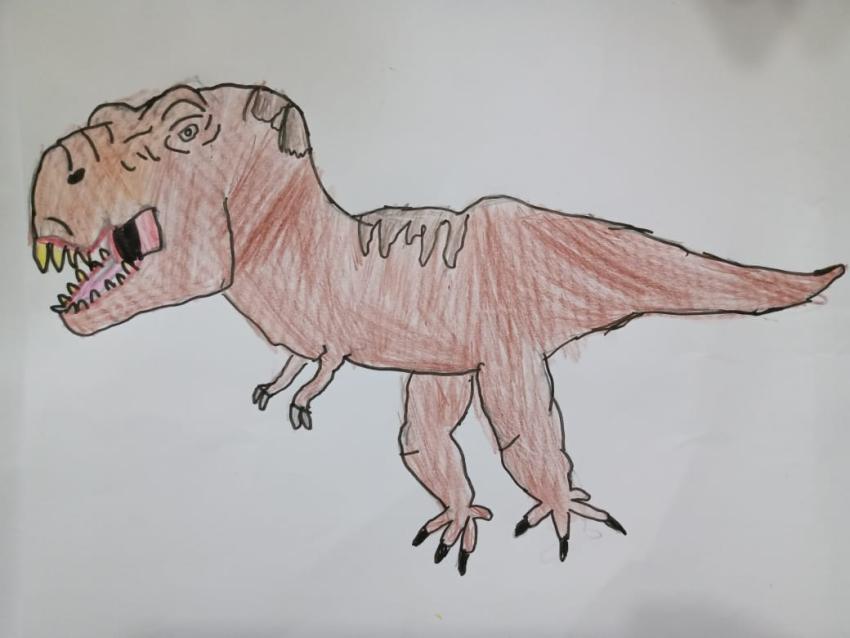 Expo de dibujo, Primaria