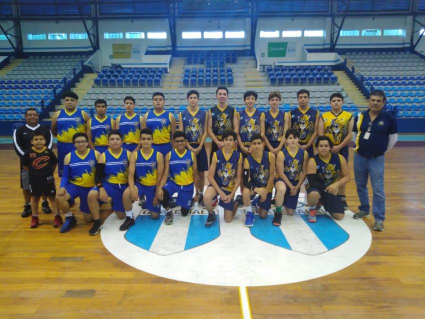 Participación de selecciones en campeonatos 