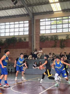 basquet