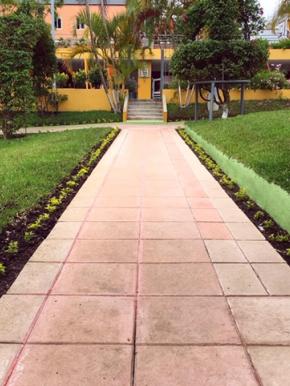 El Colegio se mantiene verde