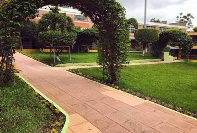 El Colegio se mantiene verde