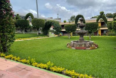 El Colegio se mantiene verde