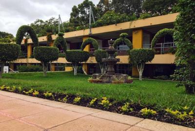 El Colegio se mantiene verde