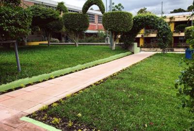 El Colegio se mantiene verde