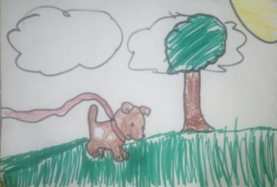 Expo de dibujo, Primaria