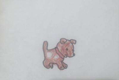 Expo de dibujo, Primaria