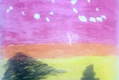 Expo de dibujo, Primaria