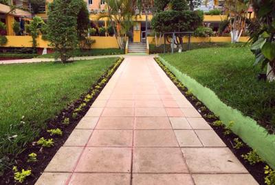 El Colegio se mantiene verde