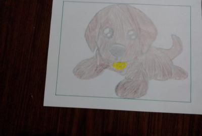 Expo de dibujo, Primaria