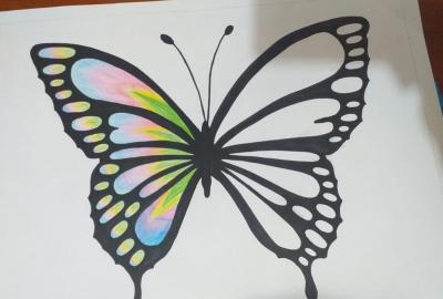 Expo de dibujo, Primaria