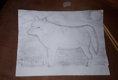 Expo de dibujo, Primaria