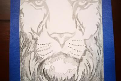 Expo de dibujo, Primaria