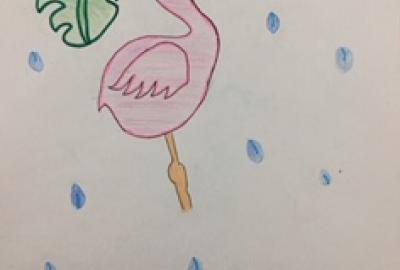 Expo de dibujo, Primaria