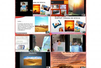 Clases virtuales agosto