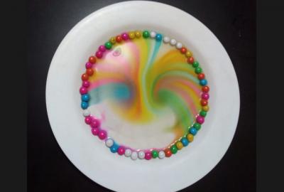 Experimento, 2do.Primaria