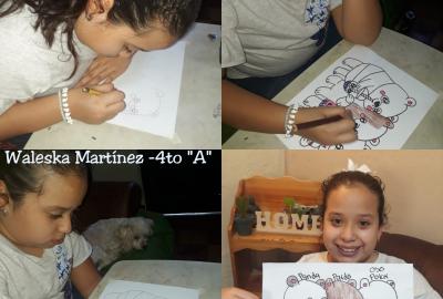 Expo de dibujo, Primaria