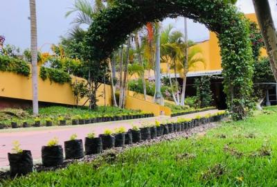 El Colegio se mantiene verde