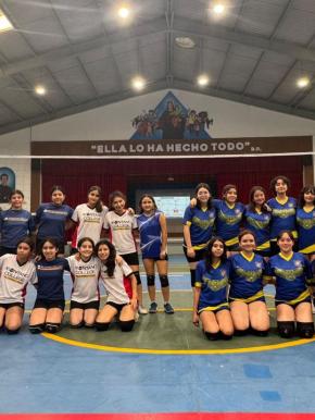 volei